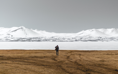 What does a good Master Production Schedule look like? Stepping into “the slushy zone”